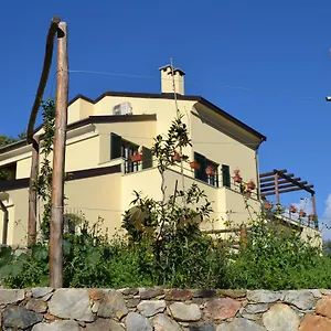 uygunluğu kontrol et
